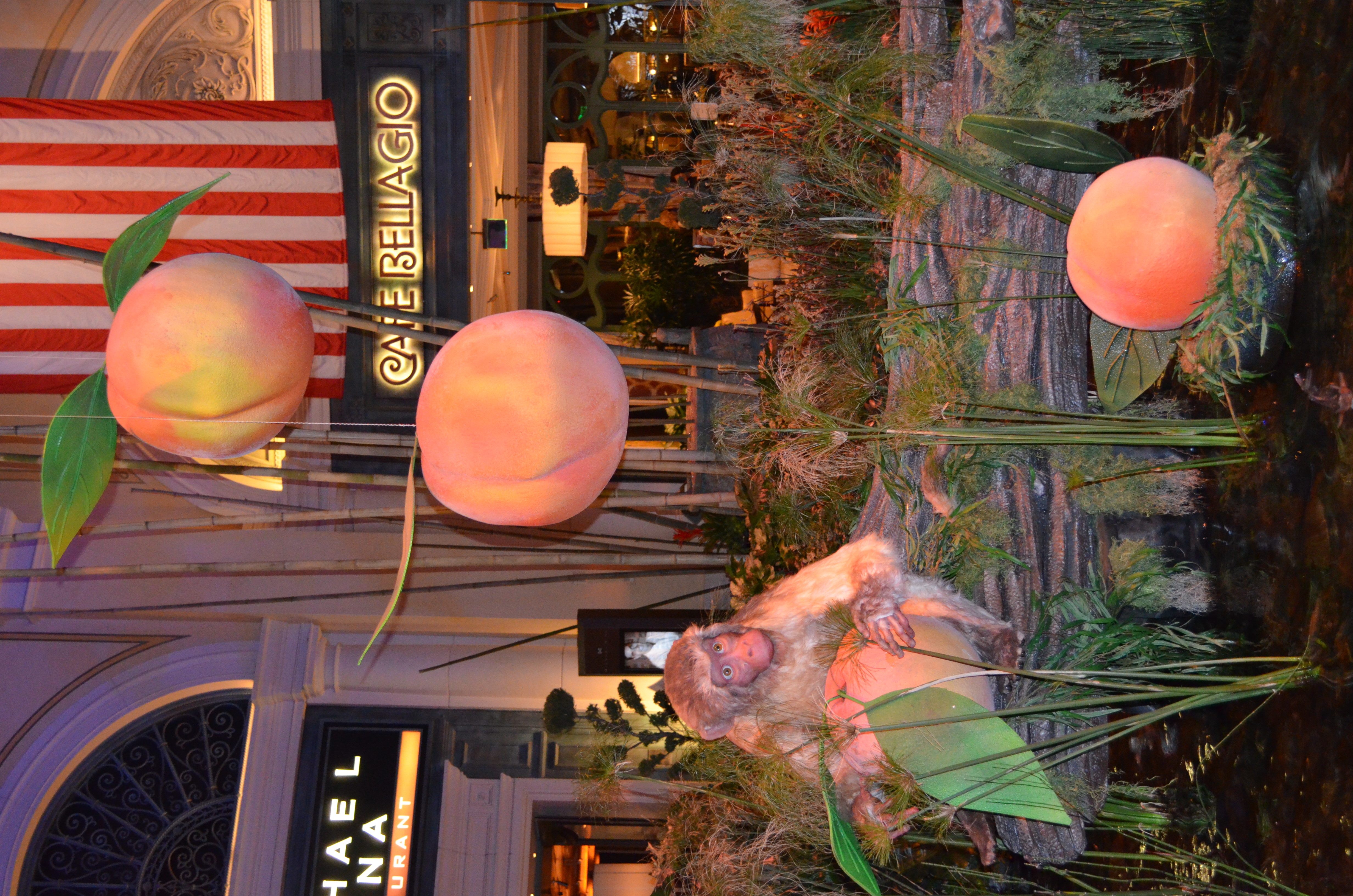 ./2016/04 - Las Vegas/Miscellaneous/DSC_0068.JPG